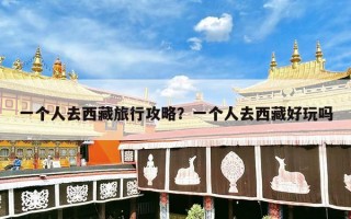 一个人去西藏旅行攻略？一个人去西藏好玩吗