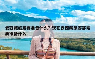 去西藏旅游要准备什么？现在去西藏旅游都需要准备什么