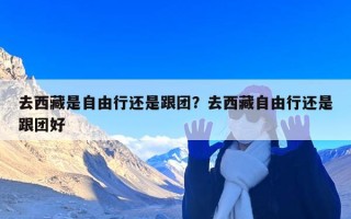 去西藏是自由行还是跟团？去西藏自由行还是跟团好