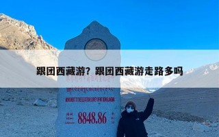 跟团西藏游？跟团西藏游走路多吗