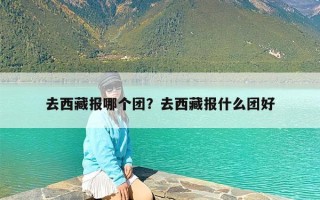去西藏报哪个团？去西藏报什么团好