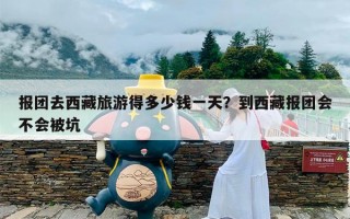 报团去西藏旅游得多少钱一天？到西藏报团会不会被坑