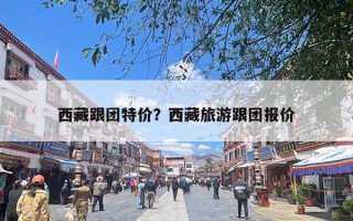西藏跟团特价？西藏旅游跟团报价