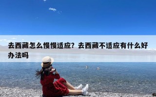 去西藏怎么慢慢适应？去西藏不适应有什么好办法吗