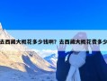 去西藏大概花多少钱啊？去西藏大概花费多少