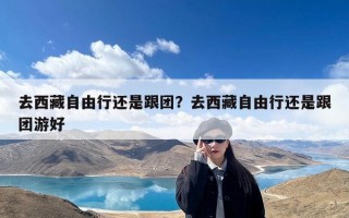 去西藏自由行还是跟团？去西藏自由行还是跟团游好