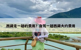 西藏走一趟的费用？自驾一趟西藏大约费用