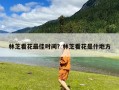 林芝看花最佳时间？林芝看花是什地方