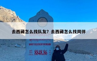 去西藏怎么找队友？去西藏怎么找同伴
