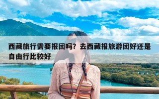西藏旅行需要报团吗？去西藏报旅游团好还是自由行比较好
