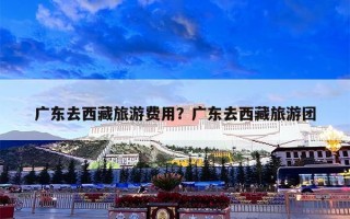 广东去西藏旅游费用？广东去西藏旅游团