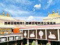 西藏日喀则市？西藏日喀则市公安局长