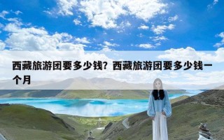 西藏旅游团要多少钱？西藏旅游团要多少钱一个月