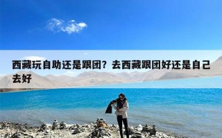 西藏玩自助还是跟团？去西藏跟团好还是自己去好