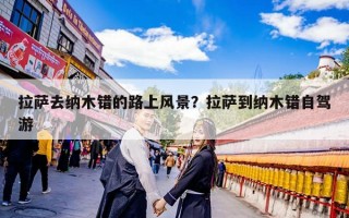 拉萨去纳木错的路上风景？拉萨到纳木错自驾游