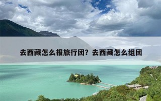 去西藏怎么报旅行团？去西藏怎么组团