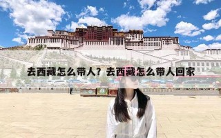 去西藏怎么带人？去西藏怎么带人回家