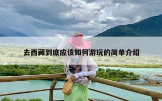 去西藏到底应该如何游玩的简单介绍