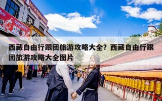 西藏自由行跟团旅游攻略大全？西藏自由行跟团旅游攻略大全图片