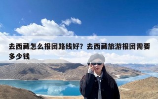 去西藏怎么报团路线好？去西藏旅游报团需要多少钱