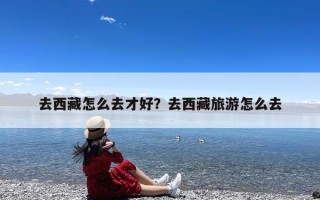 去西藏怎么去才好？去西藏旅游怎么去