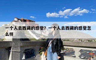 一个人去西藏的感觉？一个人去西藏的感觉怎么样