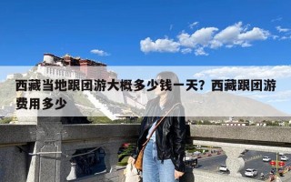 西藏当地跟团游大概多少钱一天？西藏跟团游费用多少