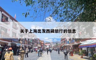 关于上海出发西藏旅行的信息