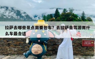 拉萨去哪些景点需要包车？去拉萨自驾游用什么车最合适