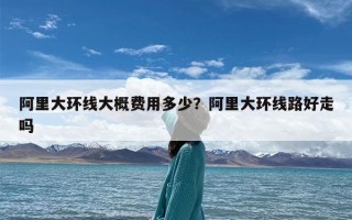 阿里大环线大概费用多少？阿里大环线路好走吗