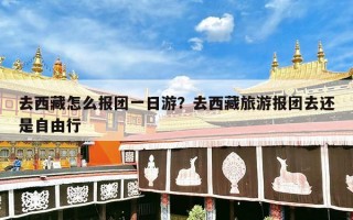 去西藏怎么报团一日游？去西藏旅游报团去还是自由行