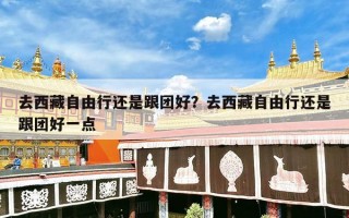 去西藏自由行还是跟团好？去西藏自由行还是跟团好一点