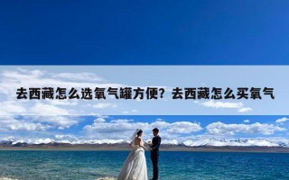 去西藏怎么选氧气罐方便？去西藏怎么买氧气