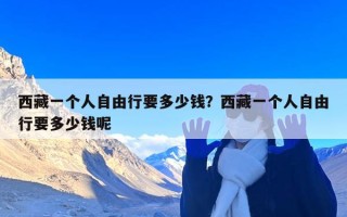 西藏一个人自由行要多少钱？西藏一个人自由行要多少钱呢