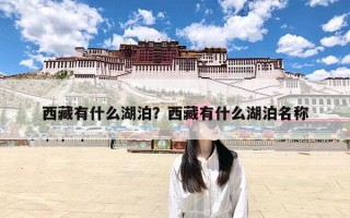 西藏有什么湖泊？西藏有什么湖泊名称