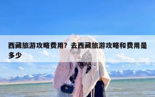 西藏旅游攻略费用？去西藏旅游攻略和费用是多少
