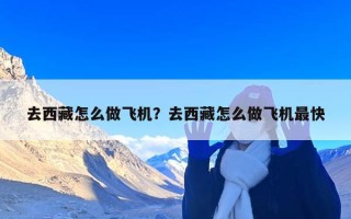 去西藏怎么做飞机？去西藏怎么做飞机最快