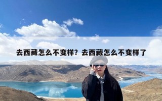 去西藏怎么不变样？去西藏怎么不变样了