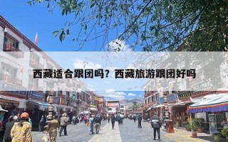 西藏适合跟团吗？西藏旅游跟团好吗