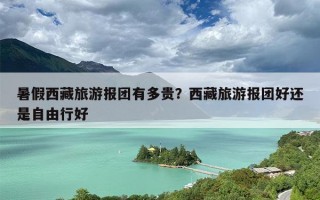 暑假西藏旅游报团有多贵？西藏旅游报团好还是自由行好