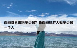 西藏自己去玩多少钱？去西藏旅游大概多少钱一个人