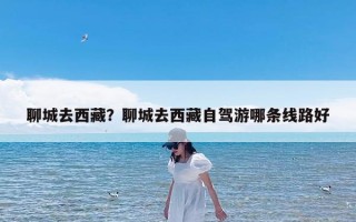 聊城去西藏？聊城去西藏自驾游哪条线路好