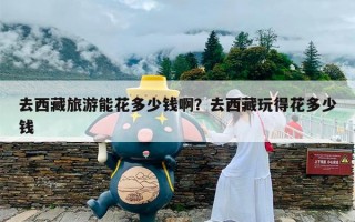 去西藏旅游能花多少钱啊？去西藏玩得花多少钱