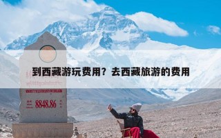 到西藏游玩费用？去西藏旅游的费用