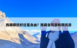 西藏跟团好还是自由？西藏自驾游和跟团游