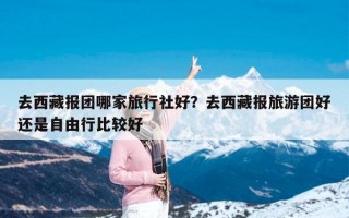 去西藏报团哪家旅行社好？去西藏报旅游团好还是自由行比较好