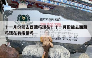 十一月份能去西藏吗现在？十一月份能去西藏吗现在有疫情吗