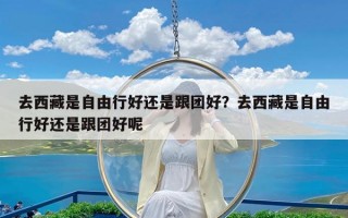 去西藏是自由行好还是跟团好？去西藏是自由行好还是跟团好呢