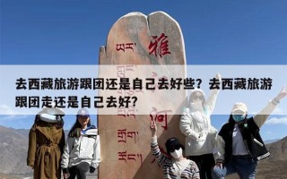 去西藏旅游跟团还是自己去好些？去西藏旅游跟团走还是自己去好?