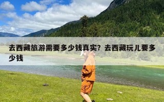 去西藏旅游需要多少钱真实？去西藏玩儿要多少钱